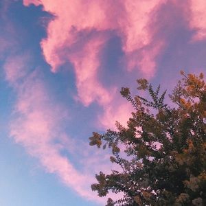 Meet your Posher, Kaitie